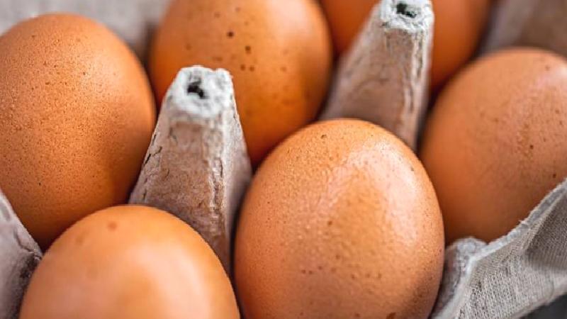 Bakanlık’tan Tayvan’a gönderilen yumurtalarda ‘kanserojen madde’ olduğu iddiasına yanıt