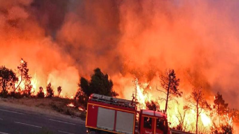 İtalya’daki orman yangınlarında 4 kişi hayatını kaybetti
