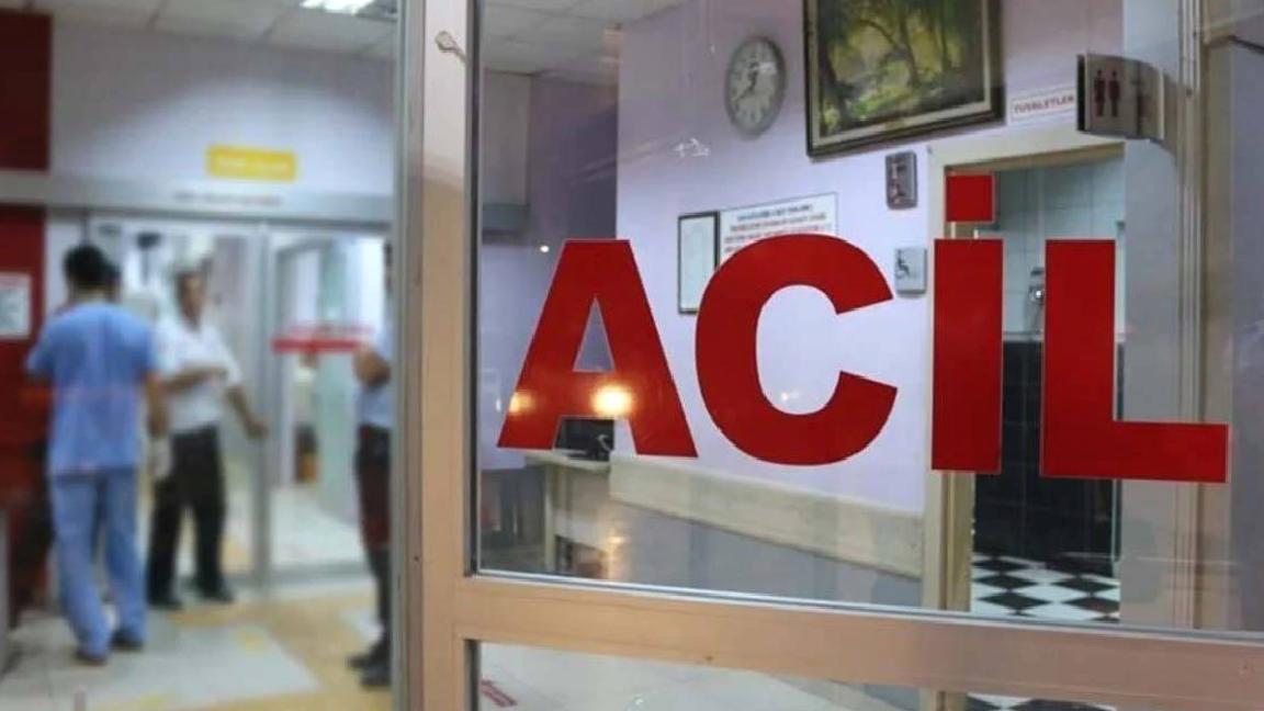 Trabzon’da arının soktuğu kişi öldü