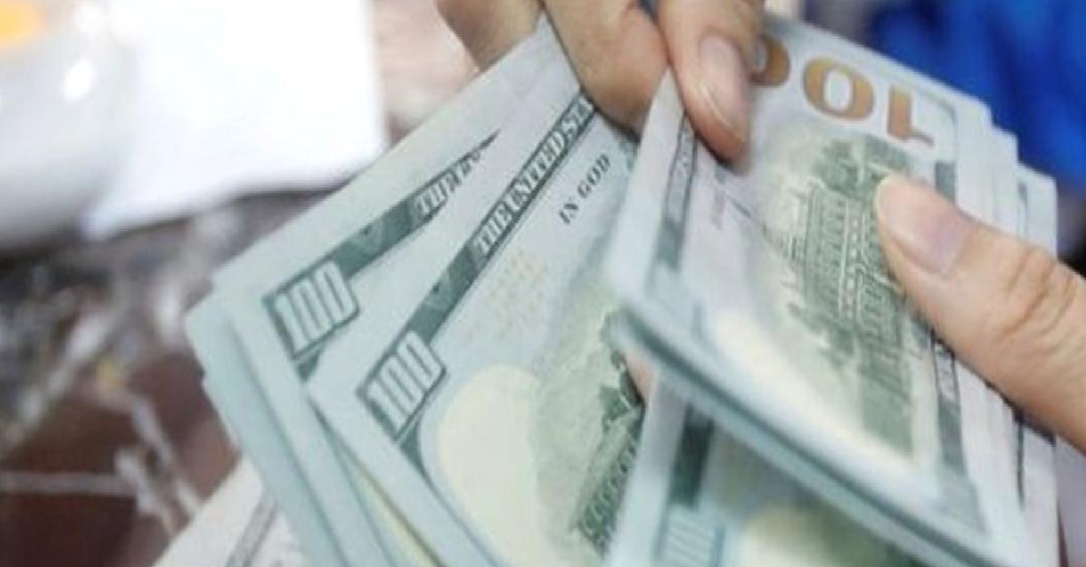 Yurt içi yerleşiklerin döviz mevduatı geriledi