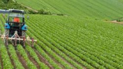 CHP’den “gübreye KDV” tepkisi: Çiftinin sonunu getirir