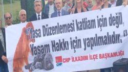 CHP’den “sokak hayvanları yasa tasarısı” adımı: Bütün barınakları gezip, rapor hazırlayacaklar