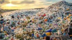 CHP’li Dinçer: İngiltere’nin çöpü ülkemize doluyor, atık ithalatı yasaklansın