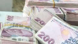 Hazine iki tahvilde toplam 47,7 milyar TL borçlandı