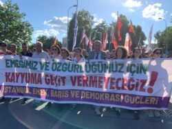Kayyım karşı mitingde mücadele vurgusu: Kürt halkına ‘Kürt normali’ yaratılmak isteniyor, seferber olalım