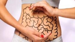 Bağırsak sağlığı neden önemli ve nasıl iyileştirilebilir?