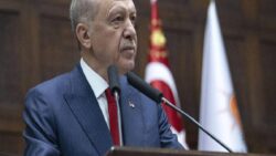 Gazeteci Ersoy Dede: AKP’li vekil, “Cumhurbaşkanımızı tarihe ‘köpekleri öldüren lider’ olarak mı geçirmeye çalışıyorsunuz?” dedi mi?