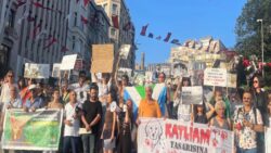 İstanbul’da sokak hayvanları yasası protestosu: Bu kanlı yasa teklifini reddediyoruz