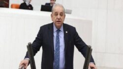 İzmir’deki orman yangınları TBMM gündeminde: Seferberlik ilan edilmesi için kaç hektarlık alanın yanması gerekiyor?