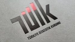 TÜİK: Haziran ayı yurt dışı üretici fiyat endeksi arttı