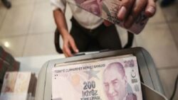Tüketici kredi büyümesi bir yılın en yüksek seviyesinde