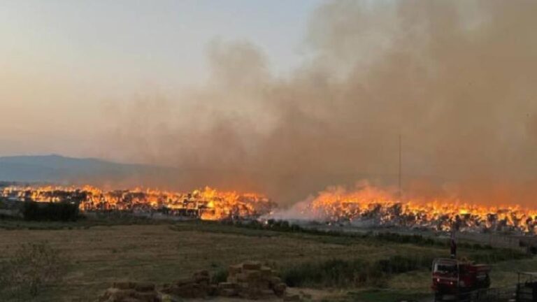 Yunanistan’da bir günde 68 noktada yangın çıktı