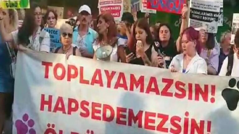 Ankara’da sokak köpeklerinin toplatılmasına protesto: Yasaya 20 yıldır uymayanlar, bir gecede uymaya karar verdi