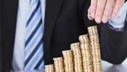 Fon dünyasının toplam büyüklüğü 4,6 trilyon liraya ulaştı