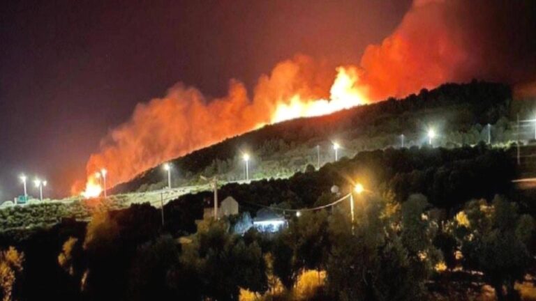 İletişim Başkanlığı’ından İzmir’de devam eden yangına ilişkin açıklama