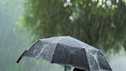 Meteoroloji’den Marmara ve Karadeniz için kuvvetli yağış uyarısı