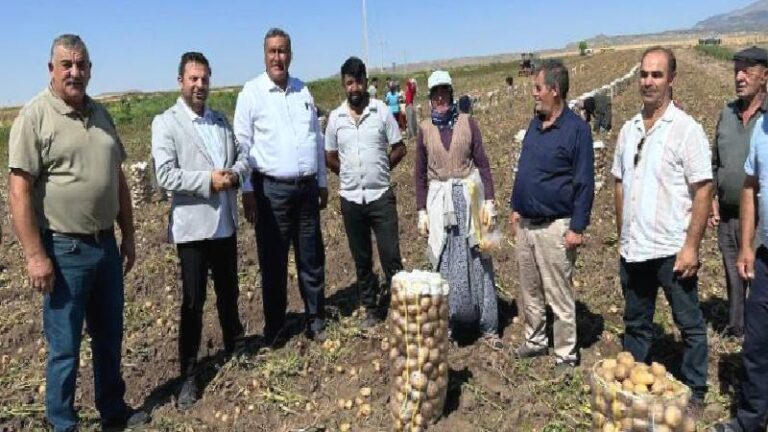 Patatesi tarlada kalan çiftçi isyan etti: Yazlık patates hiç bu duruma düşmemişti