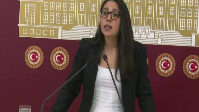 Sera Kadıgil’den Ömer Çelik’e yanıt: Faşistler bizim düşmanımızken sizinse ancak çırağınız çıkabilir