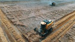 Turhan Çömez: Bakanlık tarım mezarları açtırdı, tonlarca buğday toprağa gömüldü