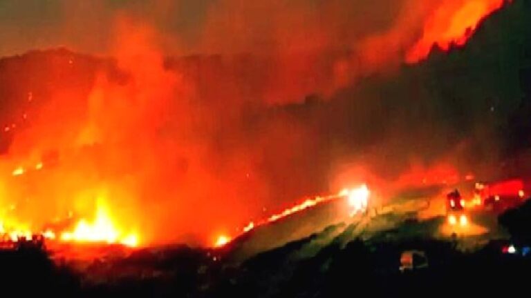 Yangınların nedeni piknik ateşi ve sigara: 2’si çocuk 6 kişi gözaltında, 3 kişi aranıyor
