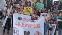 Yaşam hakkı savunucularından AYM önünde açıklama: Öldürmenin yasası olmaz! Kandan başka bir şey vermeyen kanun geri çekilsin