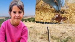 DEM Parti, Narin’in cinayetini Meclis’e taşıdı: Tavşantepe kötündeki doğal olmayan ölümlerin hepsi araştırılsın