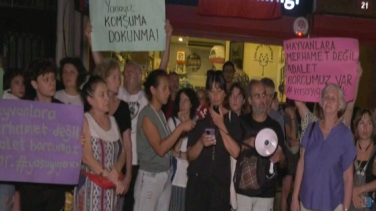 Kalamış’taki kedi zehirlenmeleriyle ilgili açıklama: Sokak hayvanlarının yaşam haklarını savunacağız