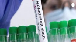 Maymun çiçeği virüsü: Afrika dışında Avrupa ve Asya’da da vakalar bildirildi