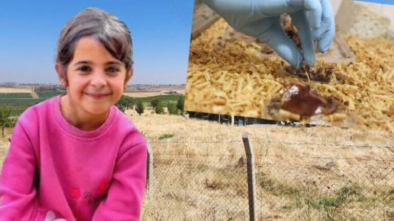 Narin Güran cinayetini çözmek için Adli Tıp Kurumu’nda “dedektif böcekler” kullanılıyor