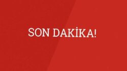 Narin’in amcası Salim Güran’ın avukatı Seda Toğrul soruşturmadan çekildi: “Bir anne olarak savunmaya devam edemeyeceğim”