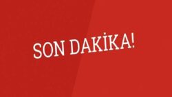 Gebze Belediyesi’nden hayvan katliamına ilişkin açıklama!