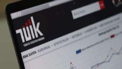 TÜİK özel kapsamlı TÜFE göstergeleri açıklamaya başlıyor