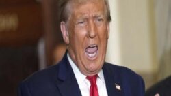 “Turmp ikinci kez iktidar olursa Almanya ne kaybeder?”