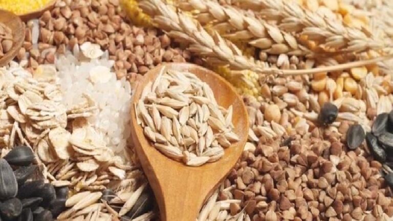 Küresel gıda ithalatı 2 trilyon doları aşacak