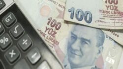 “2025’in ilk yarısında para piyasası fonlarından aşırı çıkış beklemiyoruz”