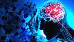 Araştırma: Covid-19 kafatasında bekleyip beyne sızıyor