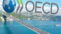 OECD, Türkiye için 2024 yılı TÜFE beklentisini yükseltti
