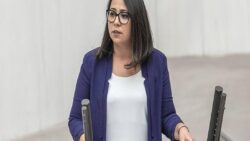 “Sen on binlerce hayvanın katilisin, şerefsiz!” diyen Sera Kadıgil’e uyarı cezası