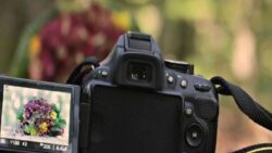 Getty Images ve Shutterstock’tan 3,7 milyar dolarlık birleşme