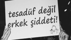 Işıl Deniz Palabıyıklar cinayetinde iddianame tamamlandı: Kardeşinin müebbet hapsi isteniyor