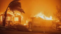 Los Angeles’taki yangınlar neden bu kadar büyük yıkıma yol açtı?