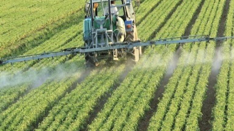 Türkiye’nin gıda ihracatında pestisit ve salmonella alarmı!