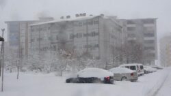 Bitlis’te 100 köy yolu kardan kapandı