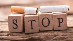 İsveç, Japonya ve Yeni Zelanda örneği: Alternatif nikotin ürünleri, sigarayla mücadeleye katkı sağlayabilir mi, Türkiye ne yapabilir?