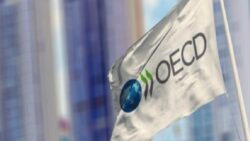 OECD’den Türkiye için büyüme ve enflasyon tahmini