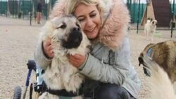 Yaşama Tutunan Patiler Derneği davasında iddianame kabul edildi; işte Buket Özgünlü için istenen ceza