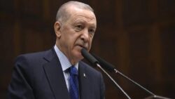 Erdoğan, üç ülkenin büyükelçisini kabul etti