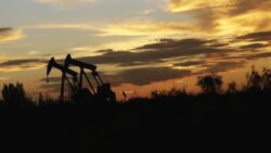 ABD ham petrol üretiminin önümüzdeki yıl azalacağı tahmin ediliyor
