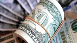 Doların çok değişkenli yılları