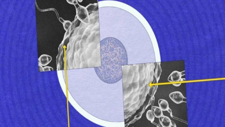 Sperm neden hâlâ bu kadar gizemli?